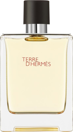Hermes Terre d'Hermes toaletná voda pre mužov 100 ml