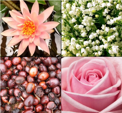 Tesori d`Oriente FIORI Di LOTO Krém na ruky - FLOWER