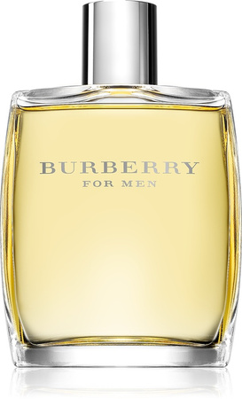 Burberry For Men toaletná voda 100 ml
