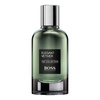 Hugo Boss Elegant Vetiver Eau de Parfum pre mužov 100 ml